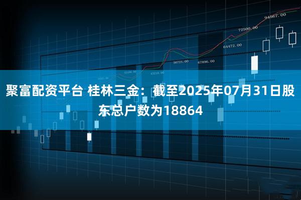 聚富配资平台 桂林三金：截至2025年07月31日股东总户数为18864